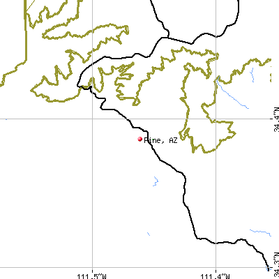 Pine map