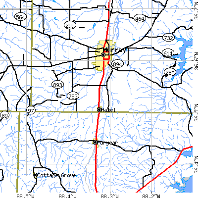 Zip code 42049 close-up map