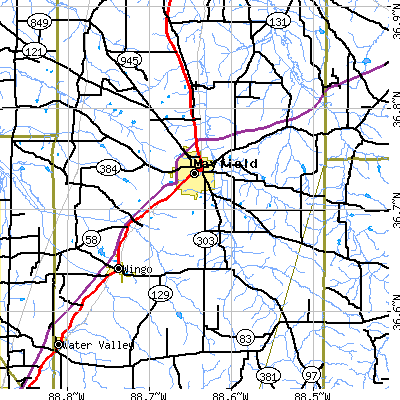 Zip code 42066 close-up map