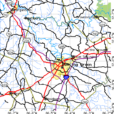 Zip code 42101 close-up map