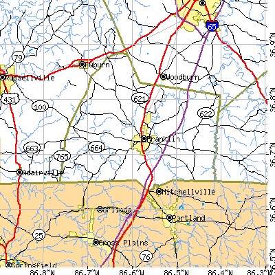 Zip code 42134 close-up map