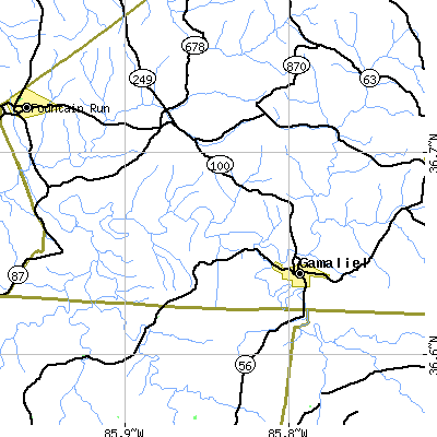 Zip code 42140 close-up map