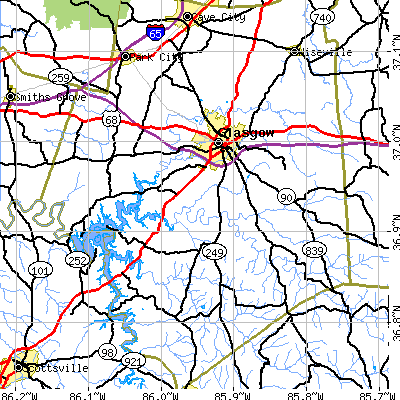 Zip code 42141 close-up map