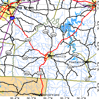 Zip code 42164 close-up map