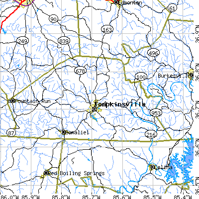 Zip code 42167 close-up map