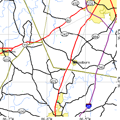 Zip code 42170 close-up map