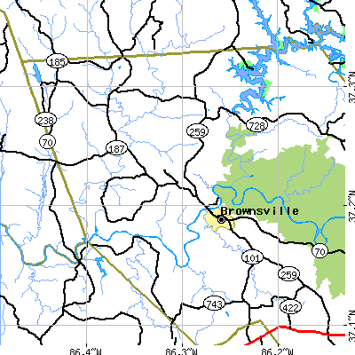 Zip code 42210 close-up map