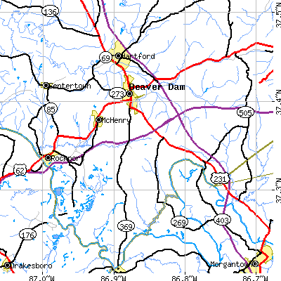 Zip code 42320 close-up map