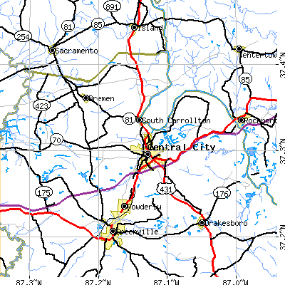 Zip code 42330 close-up map