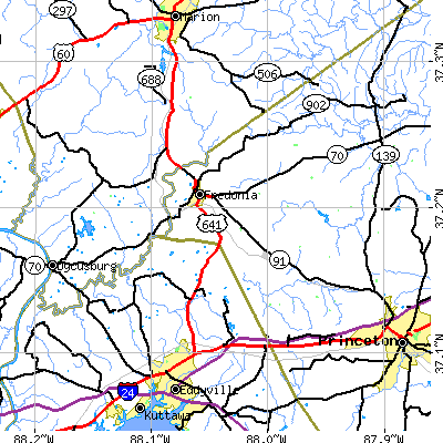 Zip code 42411 close-up map