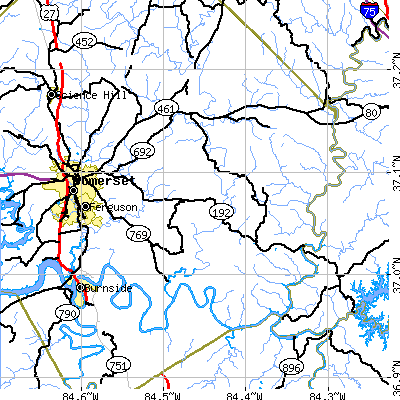 Zip code 42501 close-up map