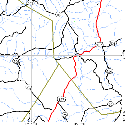 Zip code 42528 close-up map