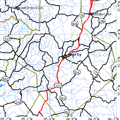 Zip code 42539 close-up map