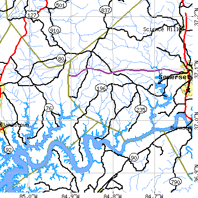 Zip code 42544 close-up map