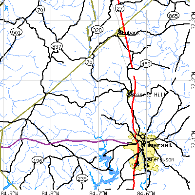 Zip code 42553 close-up map