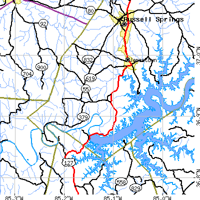 Zip code 42629 close-up map