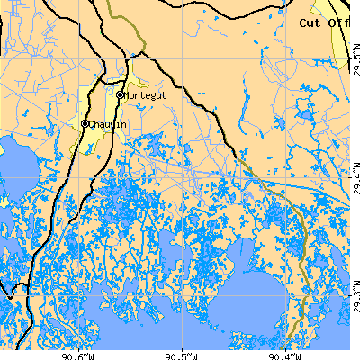 Zip code 70377 close-up map