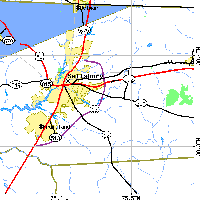 Zip code 21804 close-up map