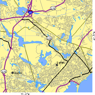 Zip code 01904 close-up map