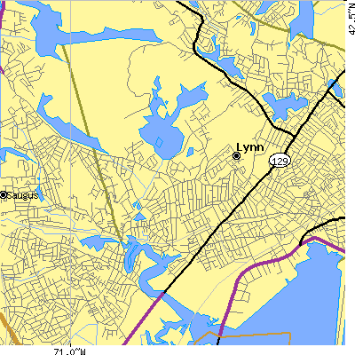 Zip code 01905 close-up map
