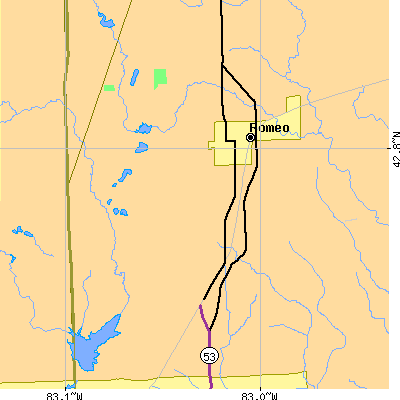 Zip code 48095 close-up map