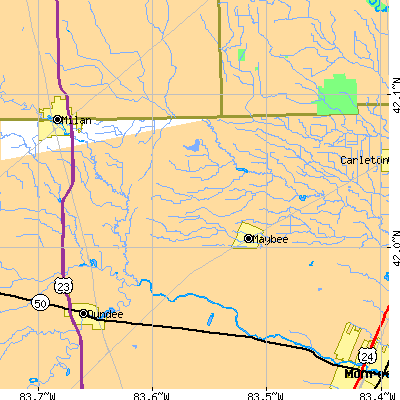 Zip code 48159 close-up map