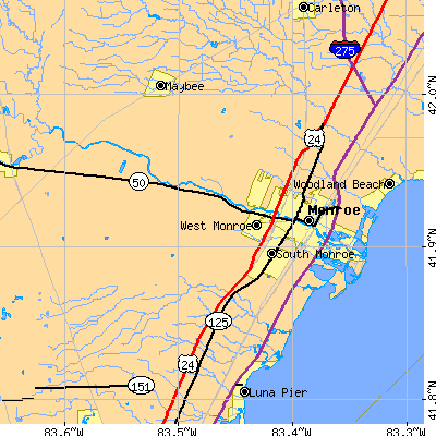 Zip code 48161 close-up map