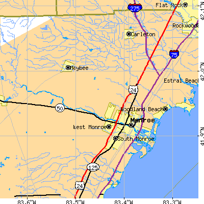 Zip code 48162 close-up map