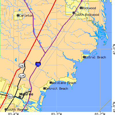 Zip code 48166 close-up map
