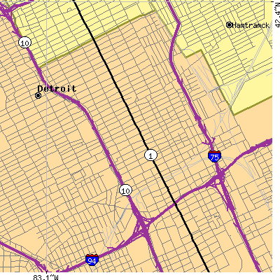 Zip code 48202 close-up map