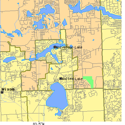 Zip code 48390 close-up map