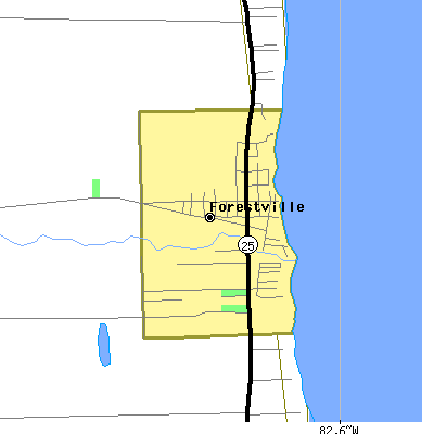Zip code 48434 close-up map