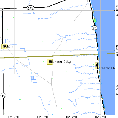 Zip code 48456 close-up map