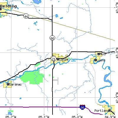 Zip code 48846 close-up map
