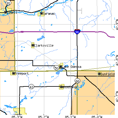 Zip code 48849 close-up map