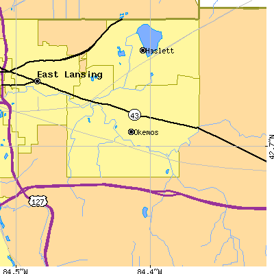 Zip code 48864 close-up map