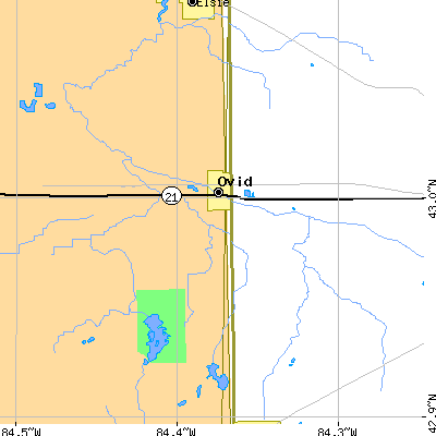 Zip code 48866 close-up map