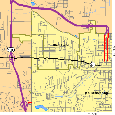 Zip code 49006 close-up map