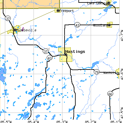 Zip code 49058 close-up map