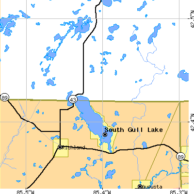 Zip code 49060 close-up map