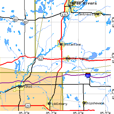 Zip code 49099 close-up map