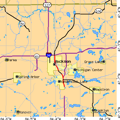 Zip code 49201 close-up map