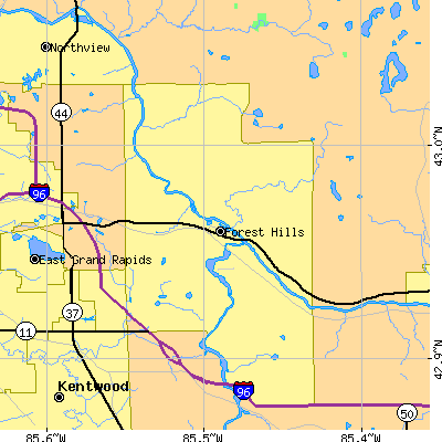 Zip code 49301 close-up map