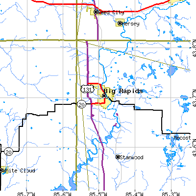 Zip code 49307 close-up map