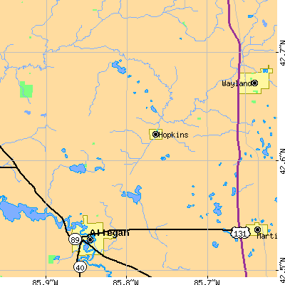 Zip code 49328 close-up map
