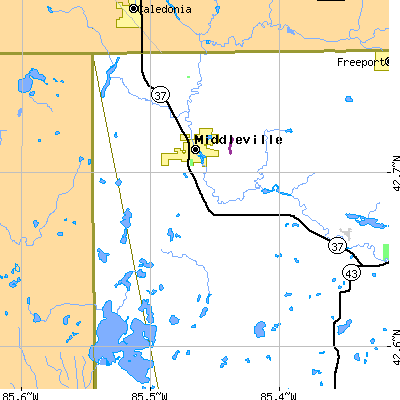 Zip code 49333 close-up map