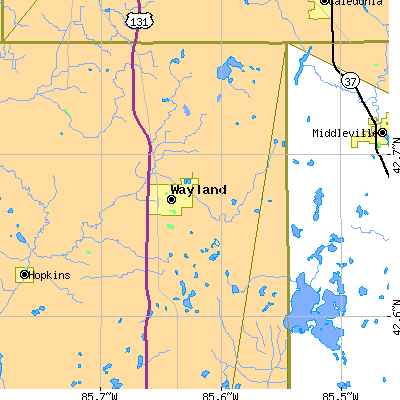 Zip code 49348 close-up map
