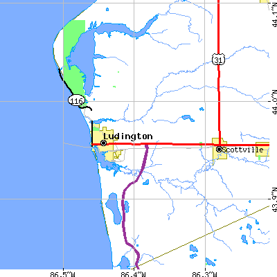 Zip code 49431 close-up map