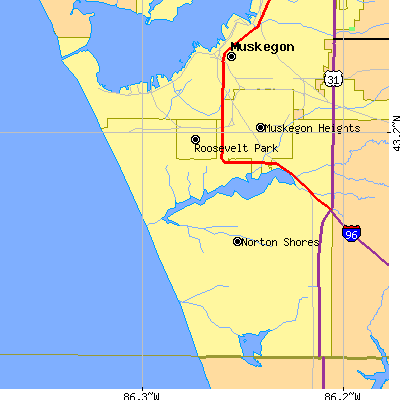 Zip code 49441 close-up map