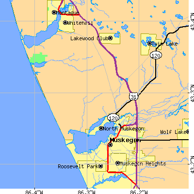 Zip code 49445 close-up map
